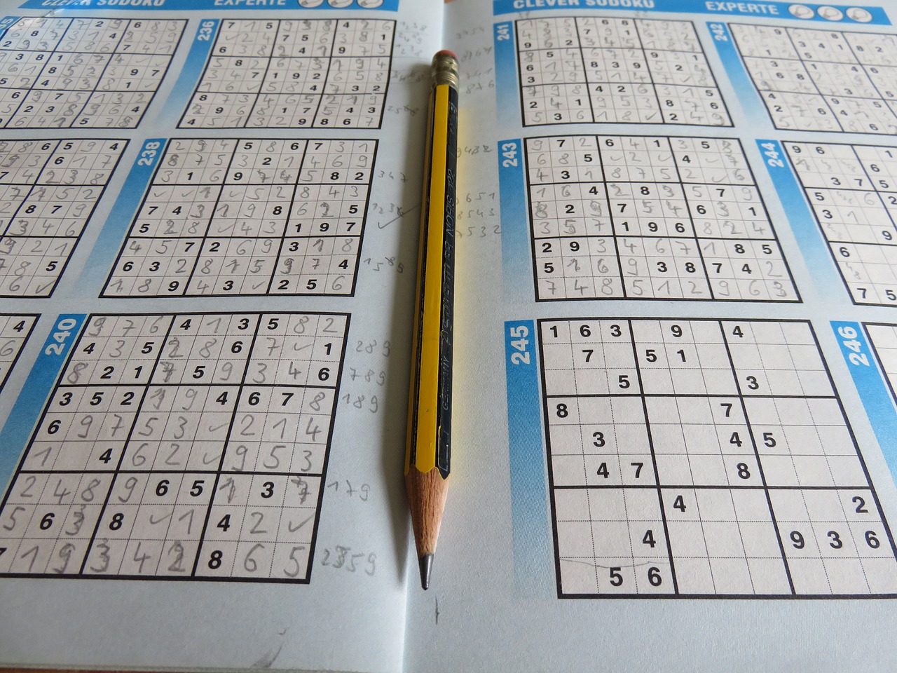 Zasady gry w sudoku
