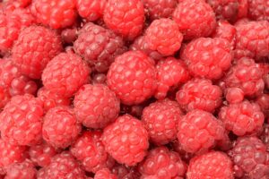 Dieta bogata w ryby i orzechy – korzyści dla zdrowia i odżywiania