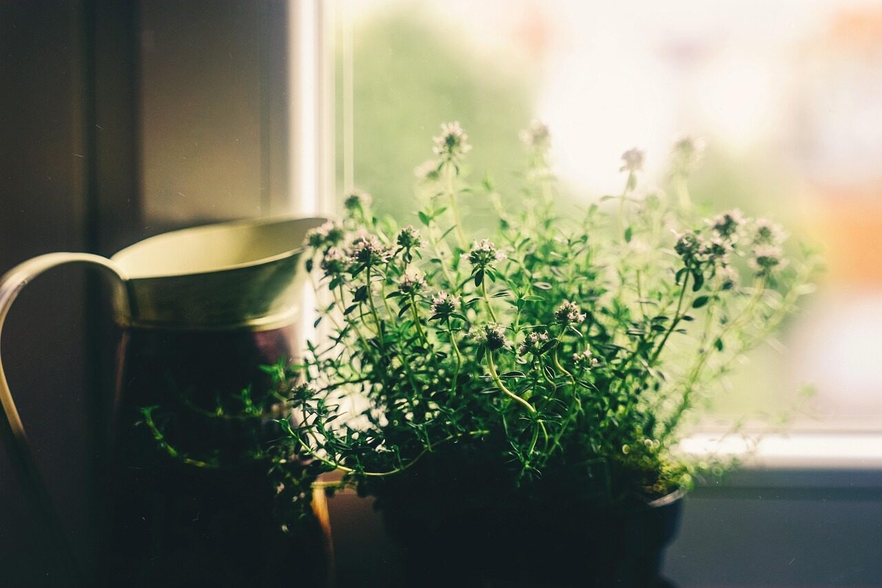 flower, window, house, vase, flower background, flower wallpaper, plant, vintage, deco, artistic, decoration, beautiful flowers, spring, bokeh, soft, nature, bloom, blossom, bright, colorful, sunshine, flora, green